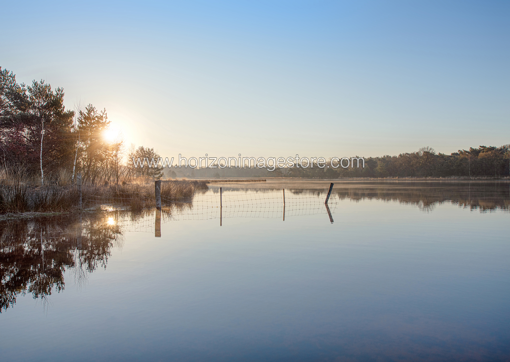 Nature Lake 2063